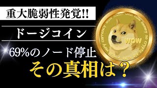 ドージコイン、脆弱性発覚！価格に影響なしの謎と今後の可能性とドージコインの底力とは？ [upl. by Ertha]