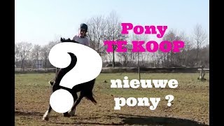 Pony te koop  Nieuwe pony [upl. by Yelwar]