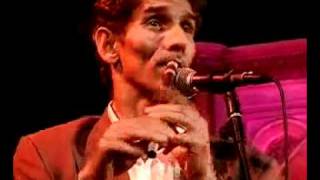 TARAF DE HAIDOUKS Live at Union Chapel Briu [upl. by Eniluqaj]