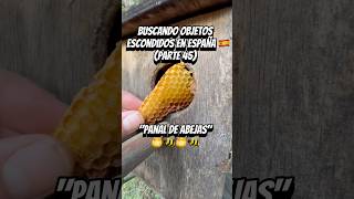 Encuentro un Panal de Abejas parte 45 [upl. by Sikata]