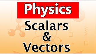 Scalars and Vectors  Physics  Science  Letstute [upl. by Audra967]