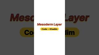 Mesoderm layer [upl. by Odlaumor]