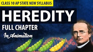 HEREDITY CLASS 10 FULL CHAPTER Explanation in Telugu  CBSE amp AP State New Syllabus [upl. by Retla966]