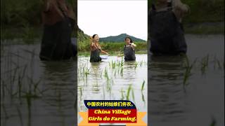 china village girls do farming中国农村女孩干农活 shorts farming niusususui [upl. by Nitsirc]