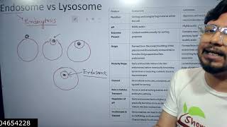 Difference between lysosomes and endosomes  Lysosomes vs endosomes [upl. by Liv]