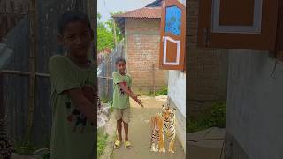 chotur tiger 2 😂 to my house for brother 🥰 shorts [upl. by Leonhard]