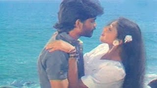 Vikram Movie Songs  Neevele Na Pranam  AkkineniNagarjuna Shobana Annapoorna [upl. by Danielle]