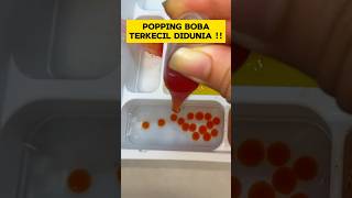 POPPING BOBA TERKECIL DIDUNIA  GEMES BGT [upl. by Enrobialc]