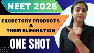 Excretory products and their elimination  One Shot Lecture  Class 11 Biology  NEET 2025 [upl. by Hoyt750]