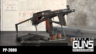 World of Guns  PP2000 [upl. by Fineberg]