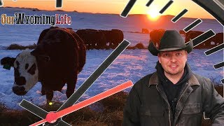 A Day in the Life  Wyoming Rancher amp Youtuber [upl. by Pickett38]