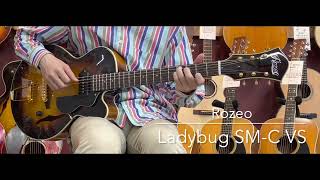 【試奏動画】Rozeo Ladybug SMC VS LASTGUITAR [upl. by Yaya]