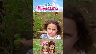 Regras de Conduta na Fazenda infantil crianças shorts [upl. by Esimorp]