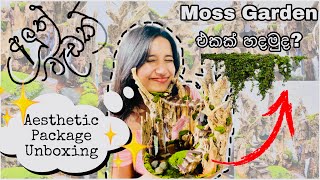 එන්නකෝ🤭 අපි Moss Garden එකක් හදමු 🍃  Unboxing aesthetic package 🪻 සිංහල Vlog මම හදපු ලස්සනම එක☘️ [upl. by Keel]