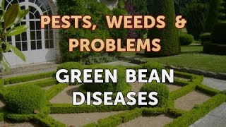 Green Bean Diseases [upl. by Ecinuahs]