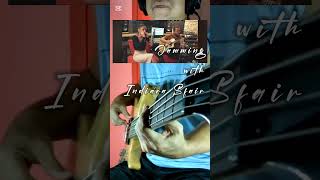 Jamming with Indiara Sfair bassguitars jamming harmonic shorts share [upl. by Jesh]