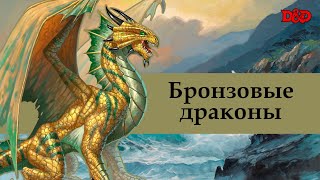 Кто такие бронзовые драконы  DampD Lore [upl. by Hnahc]