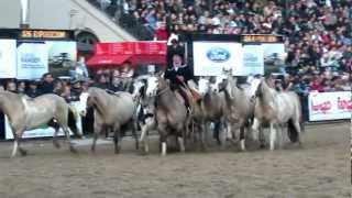 Entrevero de tropillas en La Rural 2012 [upl. by Ellenar]