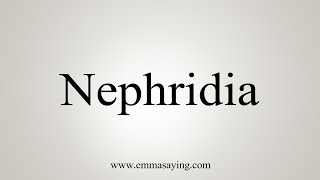 How To Say Nephridia [upl. by Atneuqal]