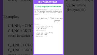 Carbylamine reaction  chemical properties of Amines  JEE  NEET  BITSAT [upl. by Sprage936]