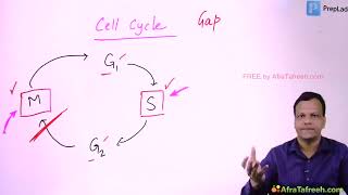 Anticancer Drugs  1 Cytotoxic Anticancerdrugs grg pharmacology [upl. by Kyte854]