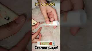 Best cream for eczema fungal skincare infection viralvideo trending youtubeshorts cream skin [upl. by Oakman395]