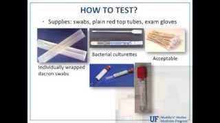 How When and Who to Test for Canine Infectious Respiratory Disease Complex  conference recording [upl. by Nylesoj331]