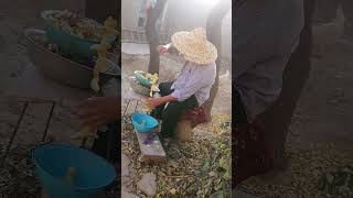 Afghan man dry apples for Winter in his homeAfghanistan village cooking [upl. by Leonardo110]