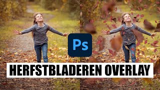 Herfstbladeren toevoegen in Photoshop  GRATIS Photoshop overlays downloaden [upl. by Ahsimaj]