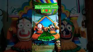 Anya Eka Biswa Rupa 🙏♥️🙏 Jay Jagannath Swami Shree Jagannath Divya Darshan shortvideo viralvideo [upl. by Agarhs656]