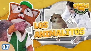 7 La veterinaria  Chaski el investigador [upl. by Devonne]