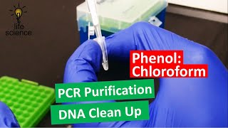 DNA Extraction  Improved PhenolChloroform Method [upl. by Brantley]