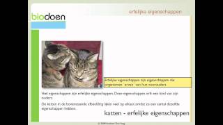 Biodoen  eigenschappen en chromosomen 1 van 5 [upl. by Salomone]