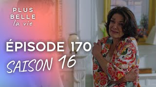 PBLV  Saison 16 Épisode 170  Vitreuil ouvre les yeux [upl. by Rimidalg]