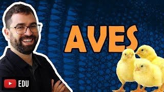 Aves  Aula 32  Módulo VI Zoologia  Prof Gui [upl. by Nimajeb46]