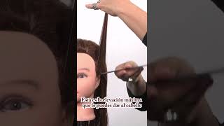 ✂️ Técnicas de corte de cabello en ángulo 180 grados para diseño escalonado  Curso peluquería [upl. by Clementius]