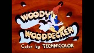 woody woodpecker laugh  rire [upl. by Aninat]