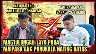 Cong BOSITA mahirapang ipasa ang Panukalang BATAS kung wala sya sa SENADO [upl. by Arni]