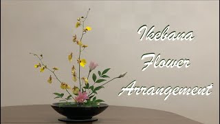 Ikebana Dancing Lady Orchid  自由式花道 Free Style Ikebana  家居鮮花擺設 [upl. by Milburr978]