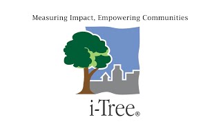 iTree  Measuring impact Empowering communities [upl. by Otreblif379]