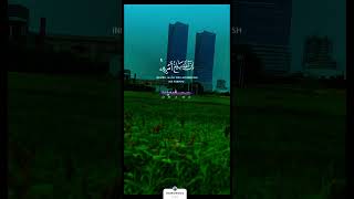 Surah At Talaq Ayat 3 islamicreminder quran [upl. by Ycnej]