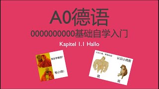 德语A0 德语零基础入门自学 Kapitel 11 Hallo [upl. by Sydalg]