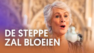 De steppe zal bloeien  Nederland Zingt [upl. by Socher]