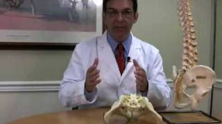 Sacroiliac Joint Pain How To Stop Sciatica and Low Back Pain [upl. by Anyar]