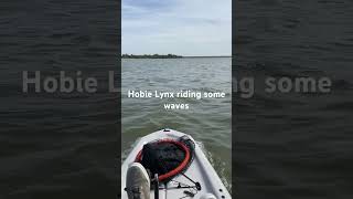 Hobie Lynx in some choppy water [upl. by Alios]