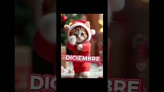 levántense 📢🎄🤣 memes levante funny xd humor viralvideo navidad foryou shorts [upl. by Niltyak64]