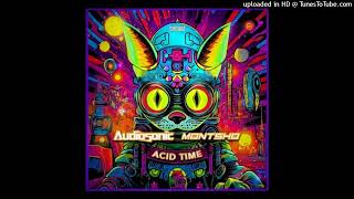 Audiosonic amp MONTSHO  Acid Time [upl. by Artined]