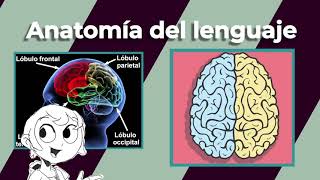 La neurobiologia y el lenguaje [upl. by Puklich]