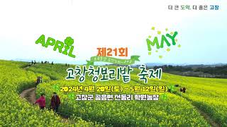 4월 힐링여행지 고창청보리밭 고창청보리밭축제 [upl. by Irmina]