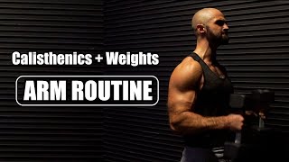 Build BIG ARMS with Calisthenics  Weights [upl. by Sacha]